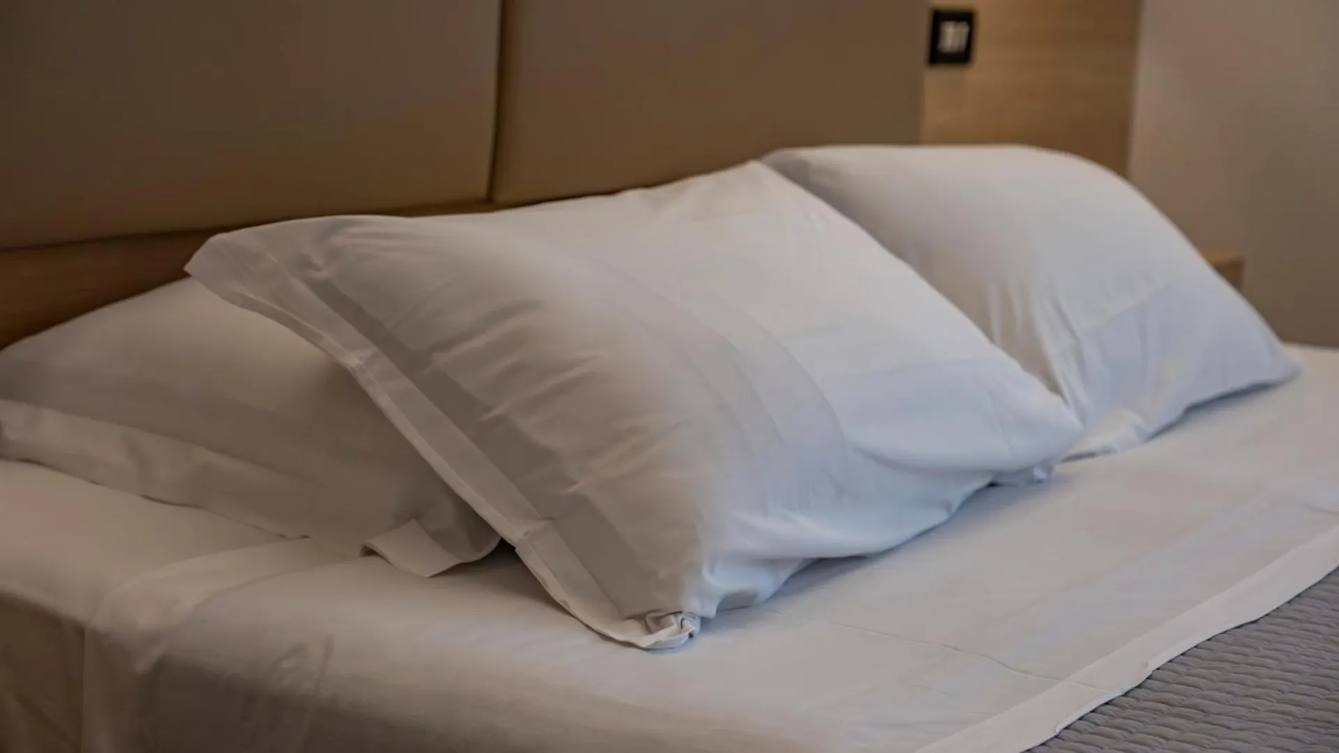 Hotel St Gregory Park Rimini